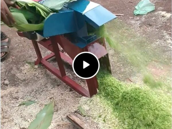 promo ramadhan MESIN PENCACAH RUMPUT/ MESIN PENCACAH/MESIN MULTIFUNGSI TERMURAH SEKOTAK MEDAN